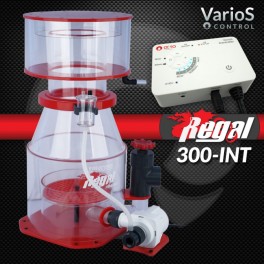 REGAL 300INT