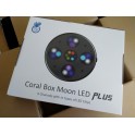 CORAL BOX MOON LED PLUS