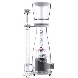 NYOS QUANTUM 120 Protein Skimmer